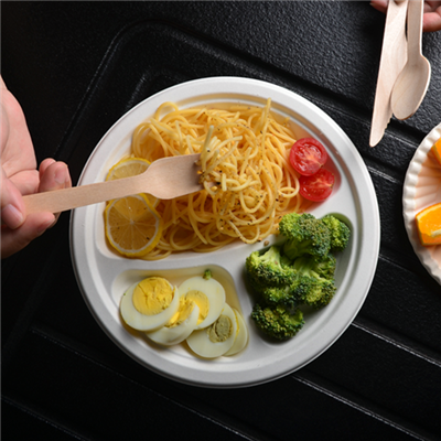 Einnota sykurreyrar kvoða plata plata